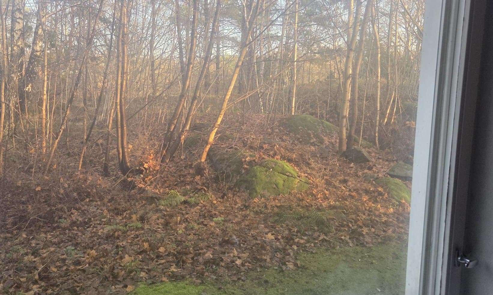 Väderilsgatan - Thumbnail 3