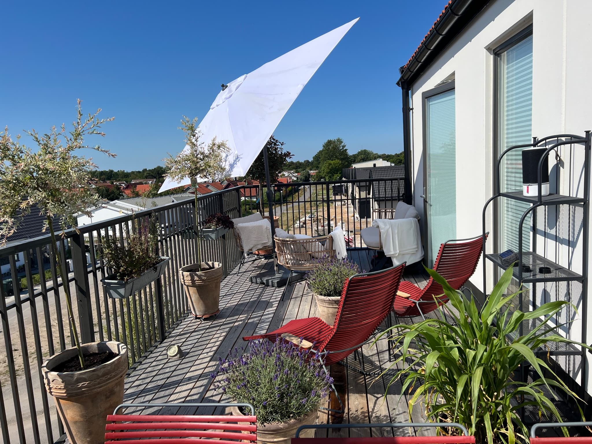 Astrakangatan - Thumbnail 13