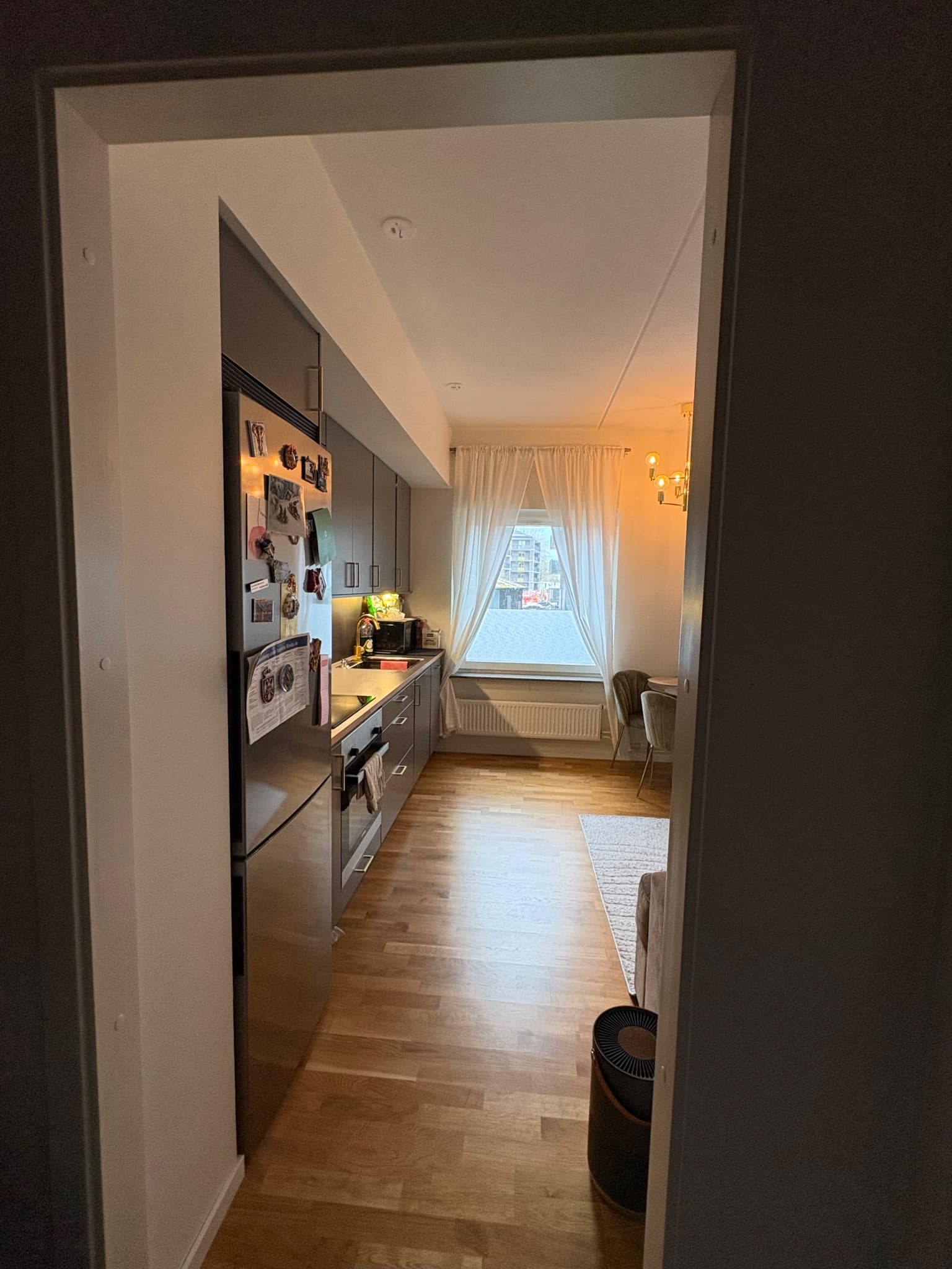 Gaffelseglet - Thumbnail 3