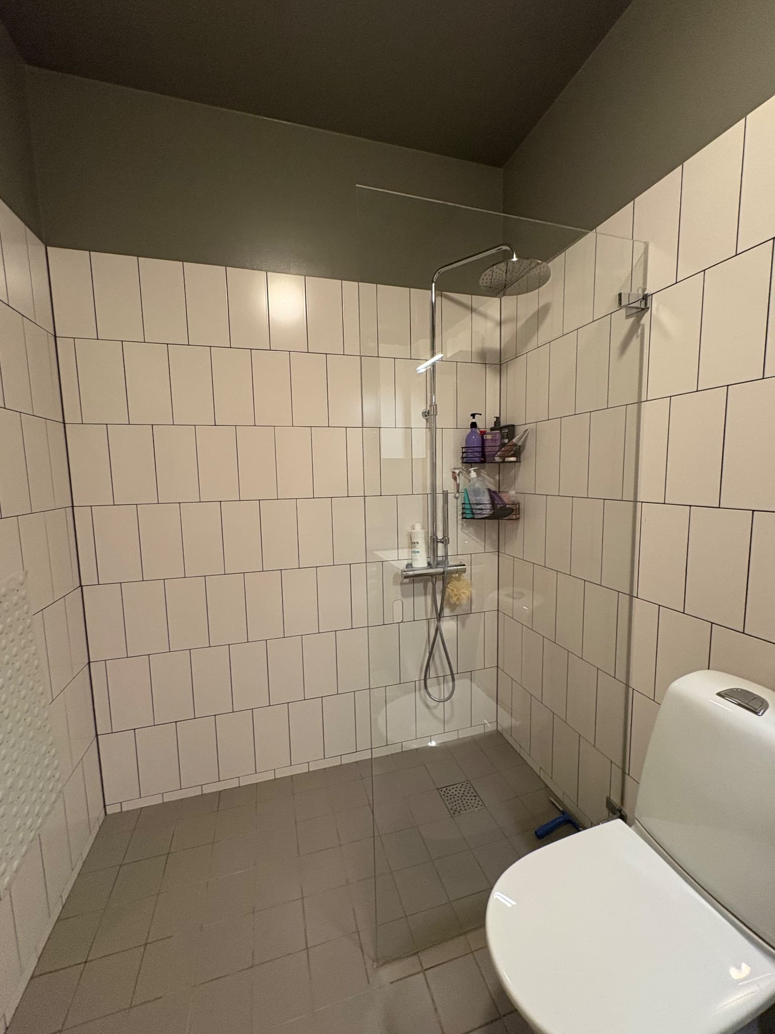 Gaffelseglet - Thumbnail 7