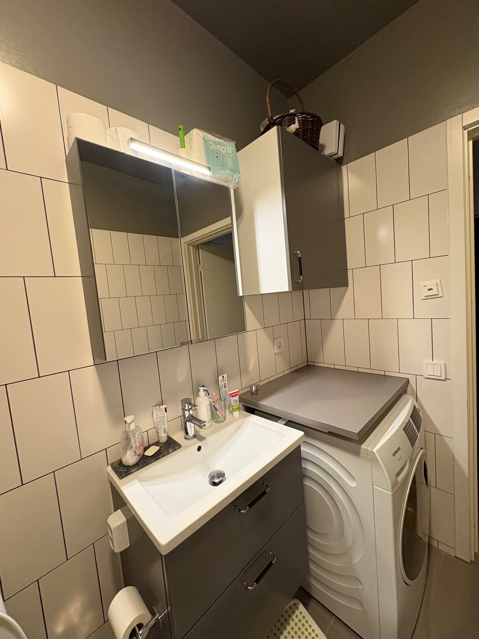 Gaffelseglet - Thumbnail 9